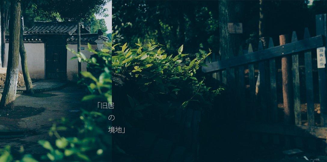 小恐龙来找茬
