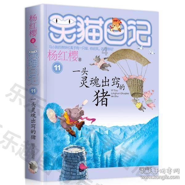 魅力男孩救援
